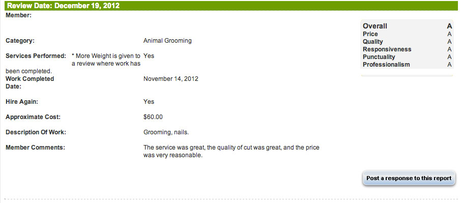 dog grooming review